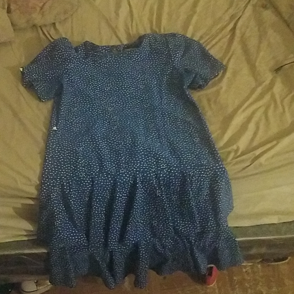 Jenny Petites Dress